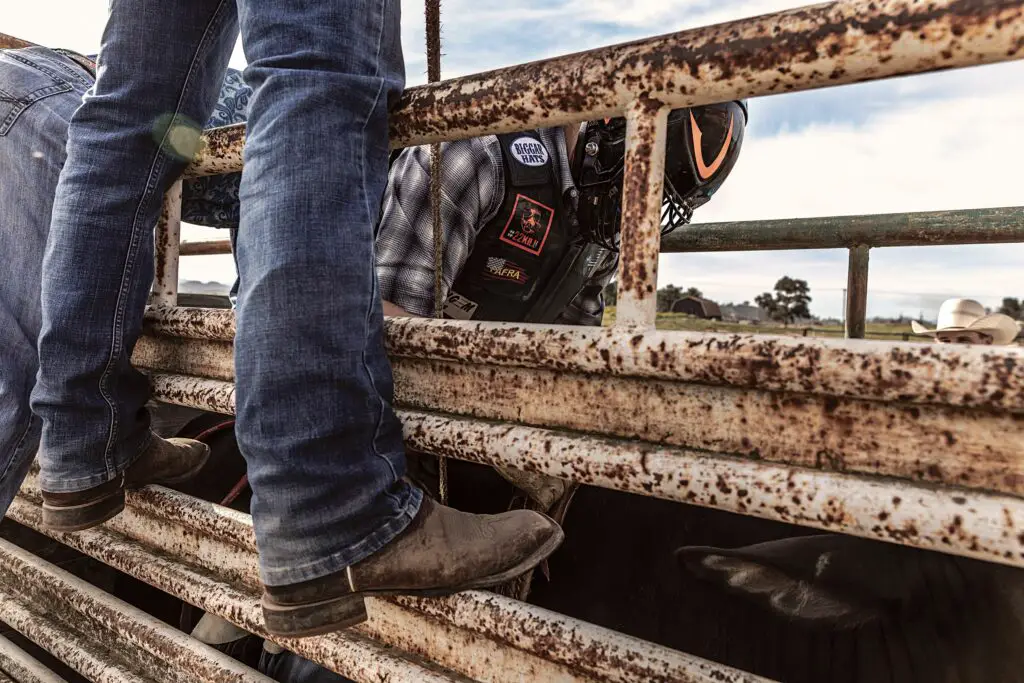 Best Cowboy Work Boots