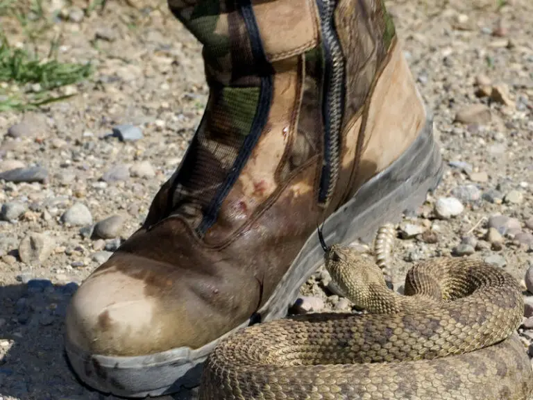 copperhead snakeskin boots