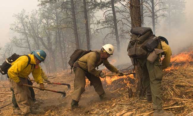 Do Logger Boots Work In Fire