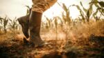 How Should a Wellington Boot Fit