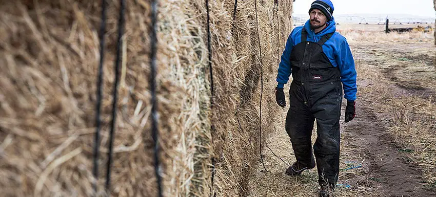 how-do-i-shrink-my-bib-overalls-work-gearz