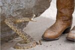 Are Regular Cowboy Boots Snake Proof