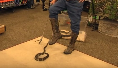 Snake resistant boots