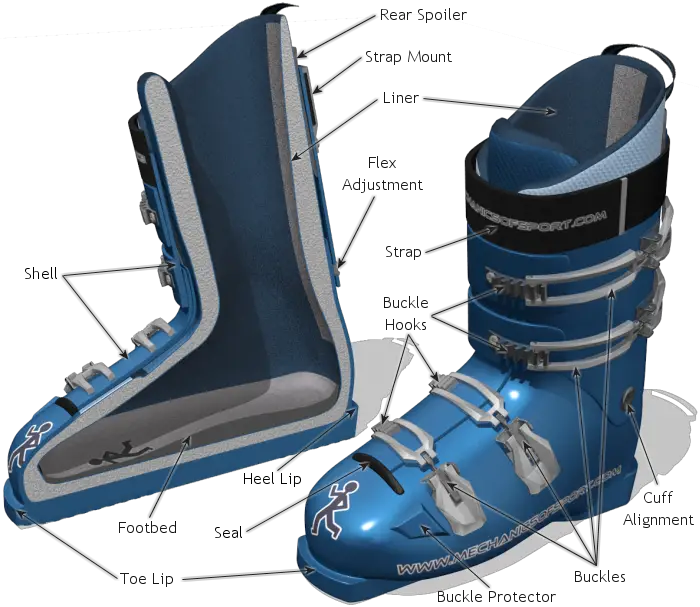 Features of Ski Boots
